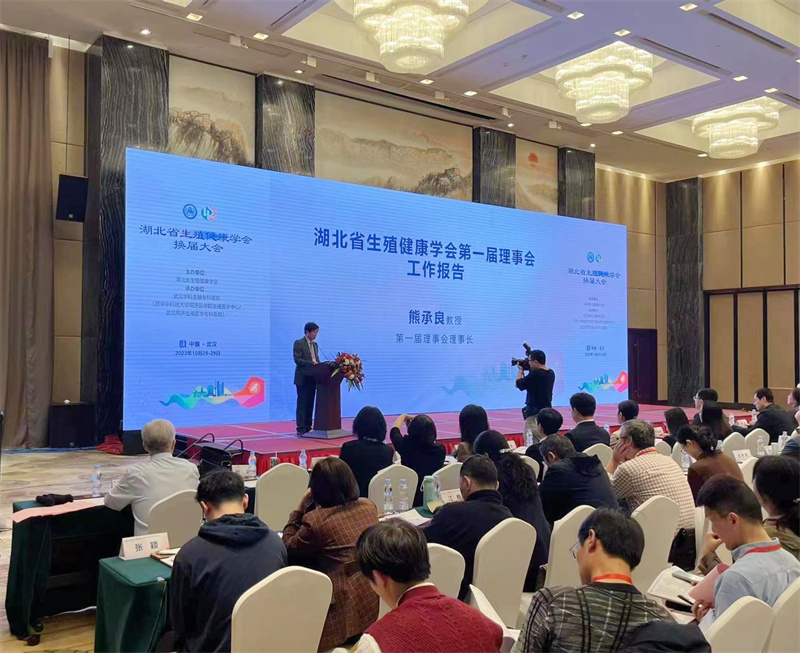 开云体云app官网入口