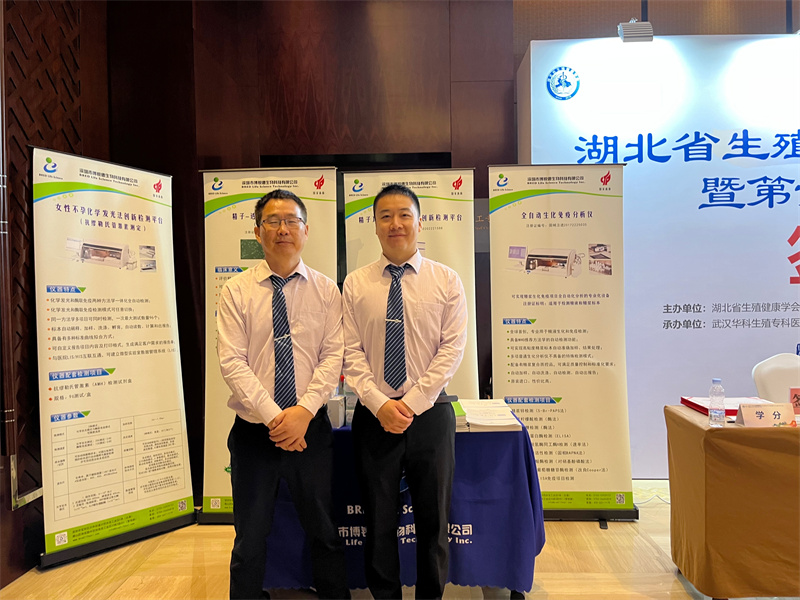 开云体云app官网入口