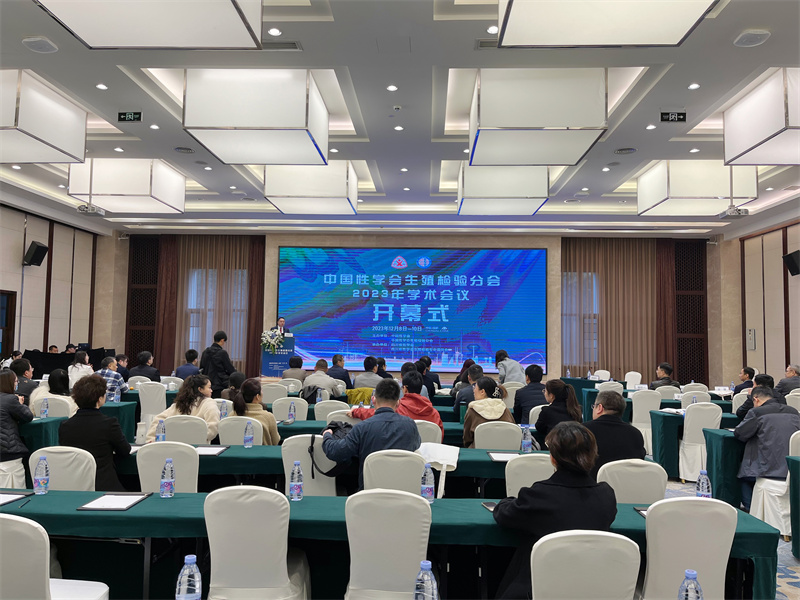 开云体云app官网入口