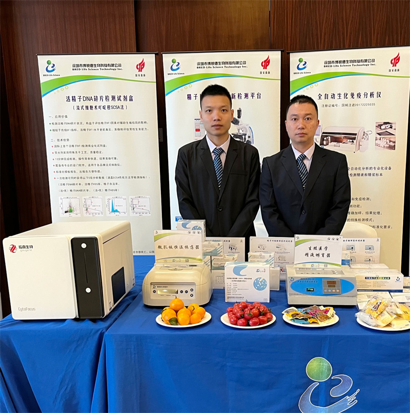 开云体云app官网入口