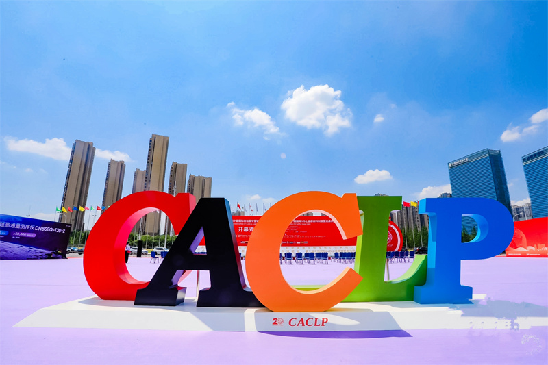 开云体云app官网入口