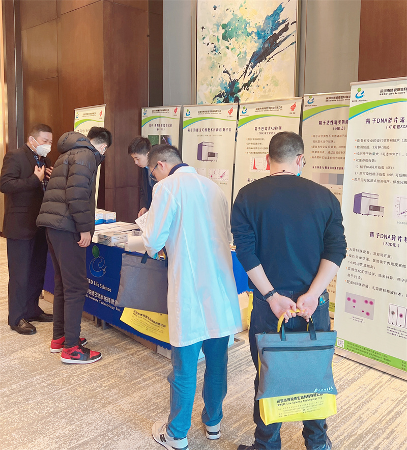 开云体云app官网入口