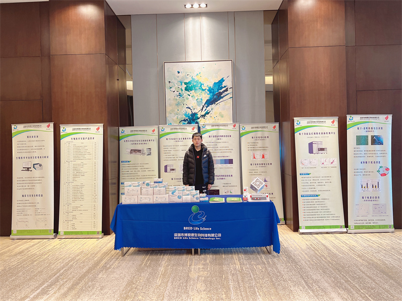 开云体云app官网入口