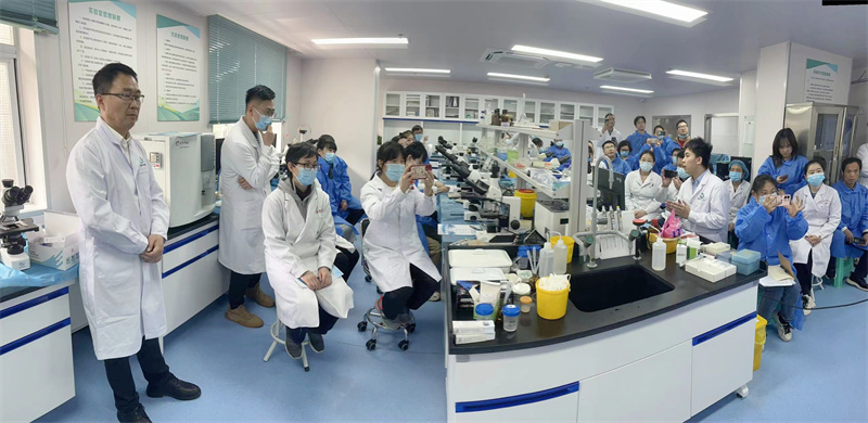 开云体云app官网入口