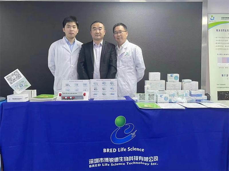 开云体云app官网入口