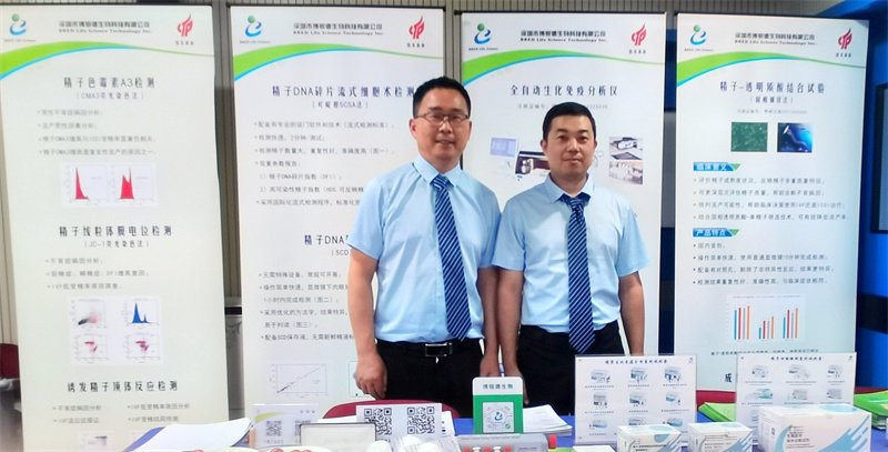 开云体云app官网入口