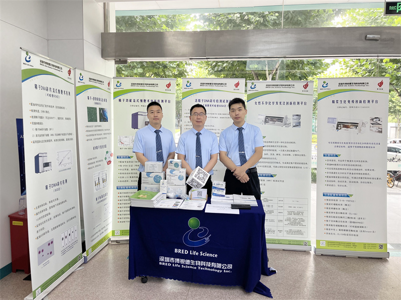 开云体云app官网入口