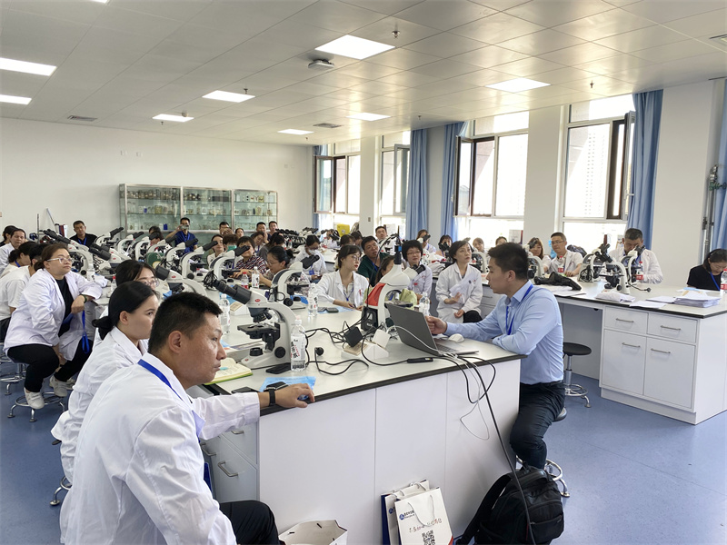 开云体云app官网入口