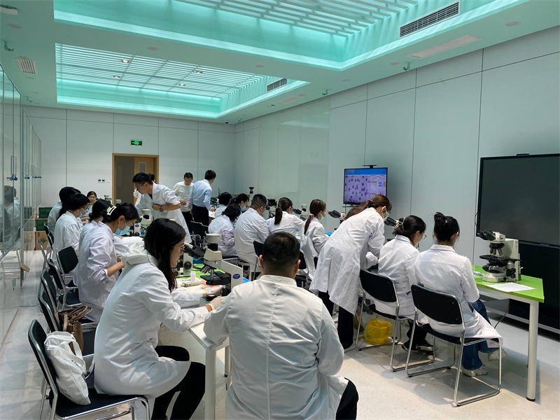 开云体云app官网入口