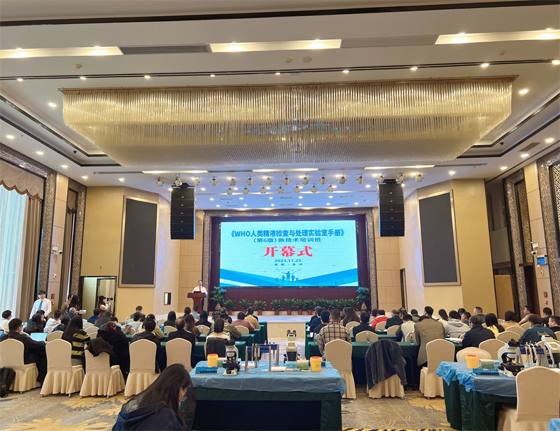 开云体云app官网入口