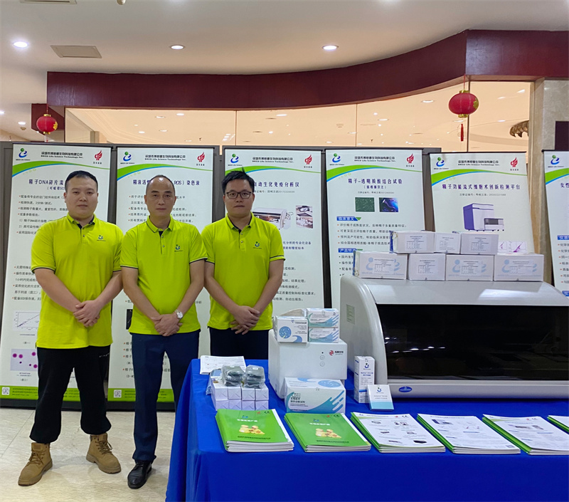 开云体云app官网入口