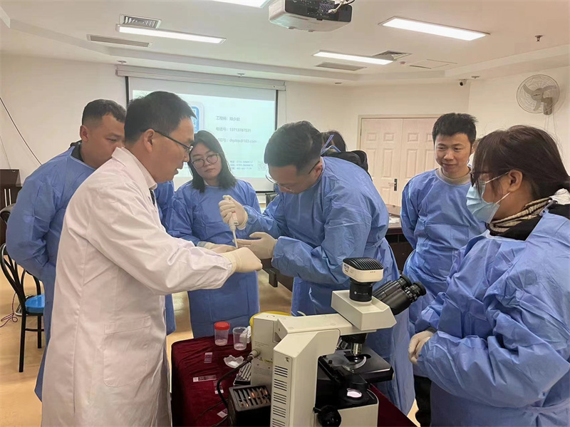 开云体云app官网入口