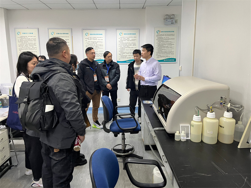 开云体云app官网入口