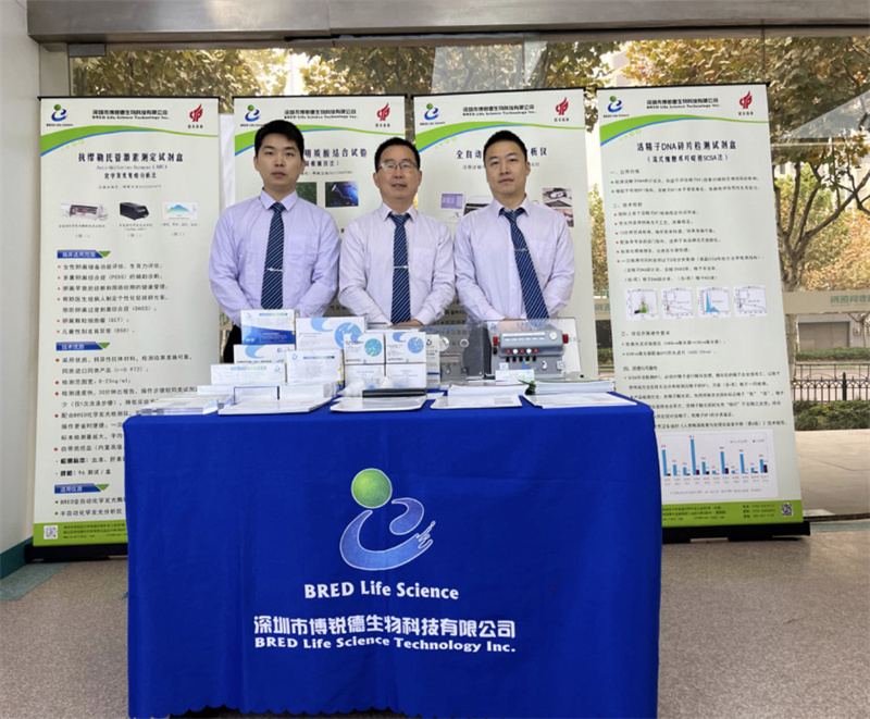 开云体云app官网入口