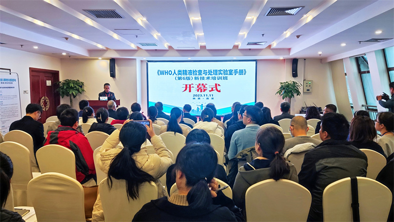 开云体云app官网入口