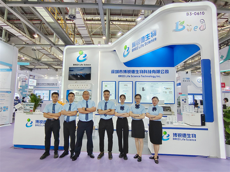 开云体云app官网入口