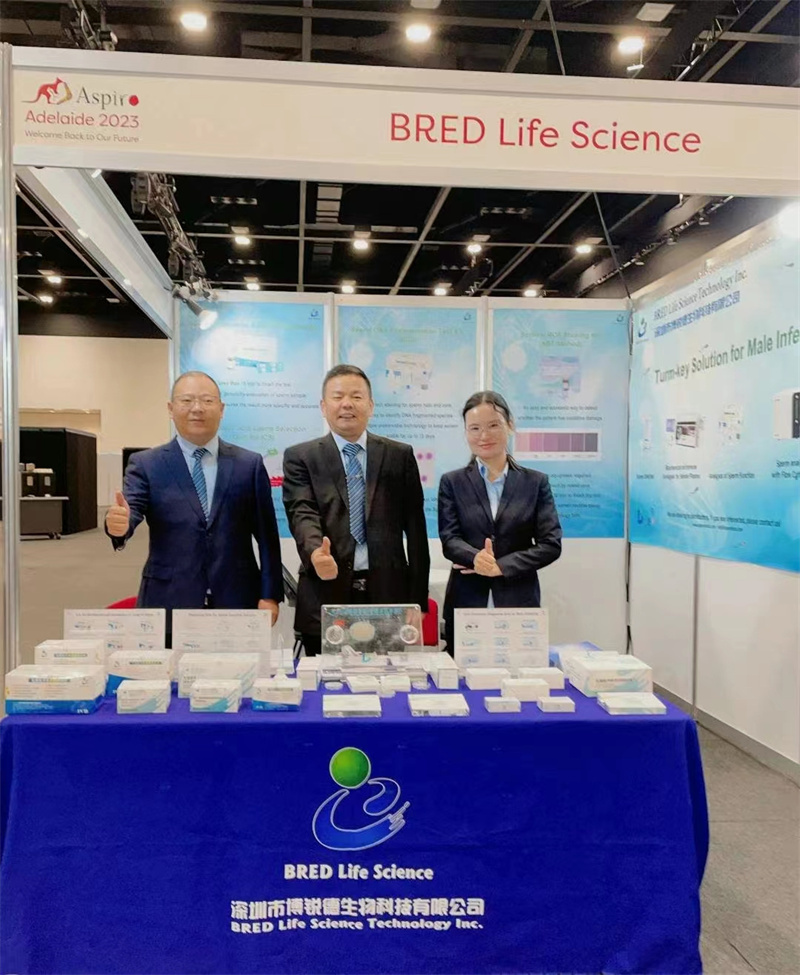 开云体云app官网入口