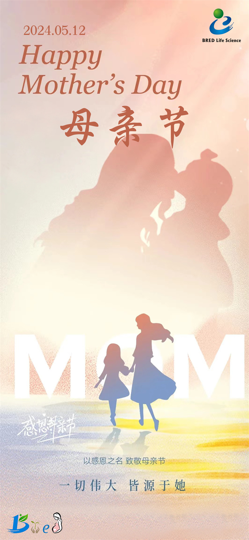 开云体云app官网入口