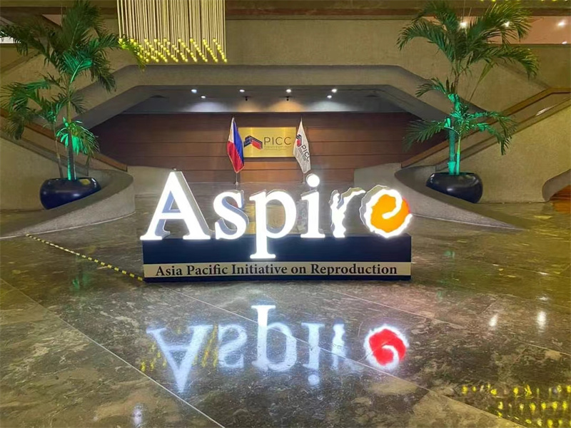 开云体云app官网入口