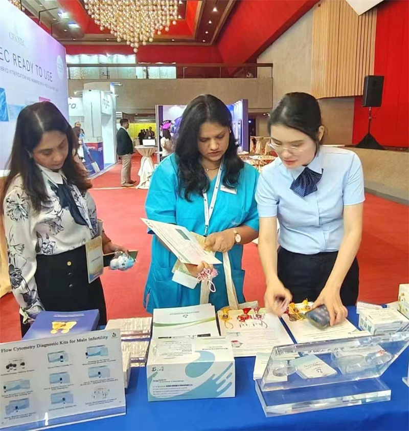 开云体云app官网入口