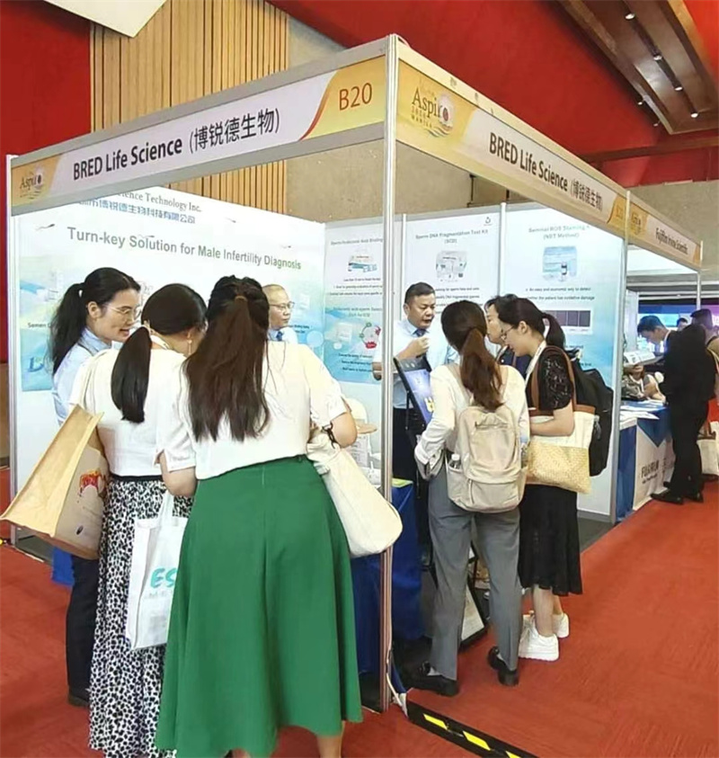 开云体云app官网入口