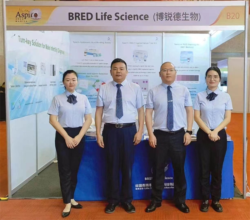 开云体云app官网入口