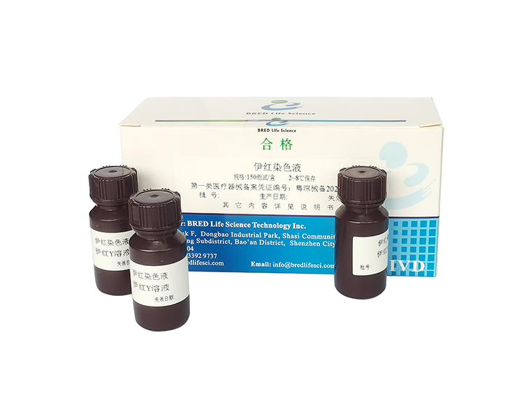 开云体云app官网入口