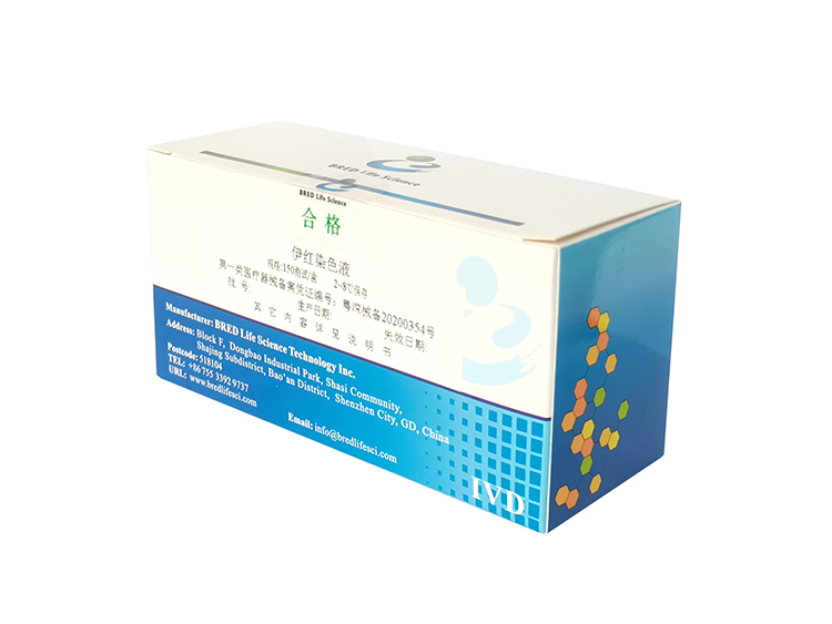 开云体云app官网入口