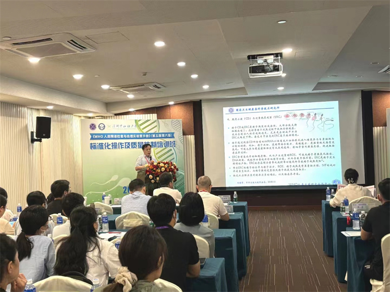 开云体云app官网入口