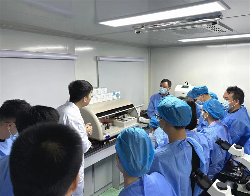 开云体云app官网入口