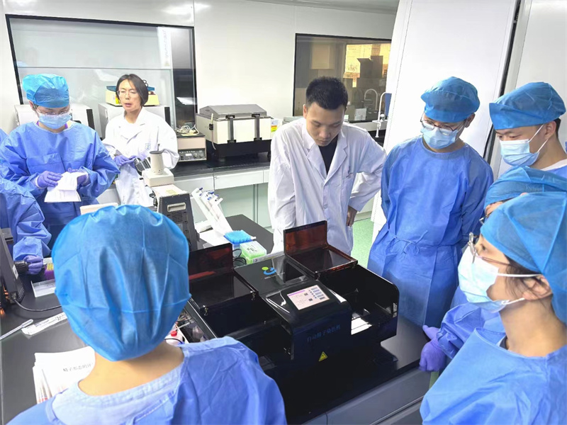 开云体云app官网入口