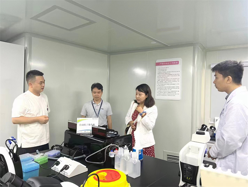 开云体云app官网入口