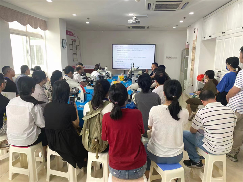 开云体云app官网入口