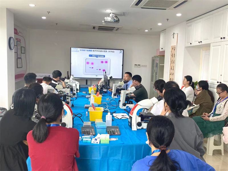 开云体云app官网入口