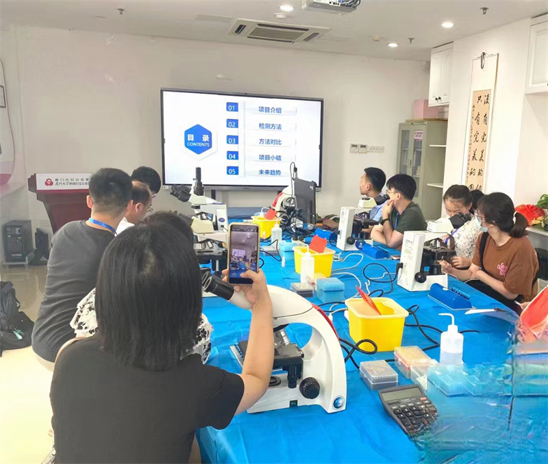 开云体云app官网入口