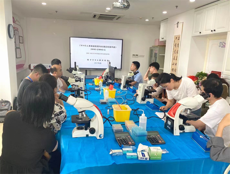 开云体云app官网入口