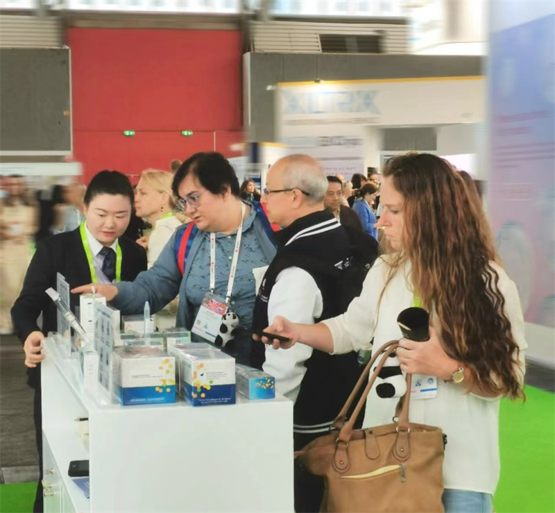 开云体云app官网入口