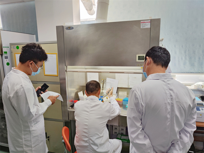 开云体云app官网入口