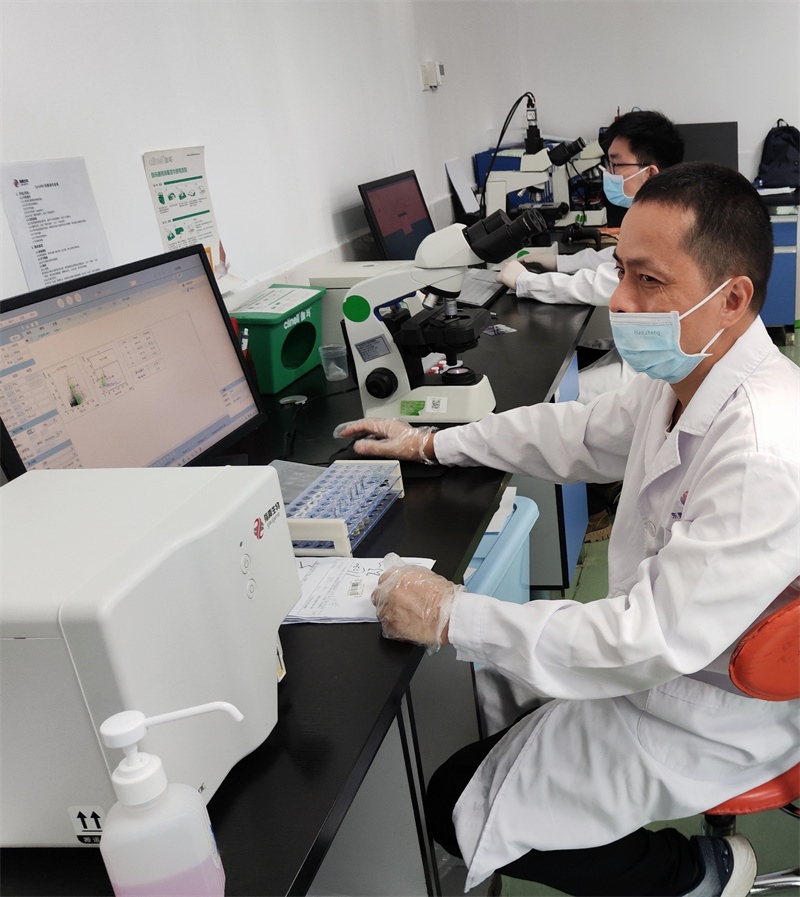 开云体云app官网入口