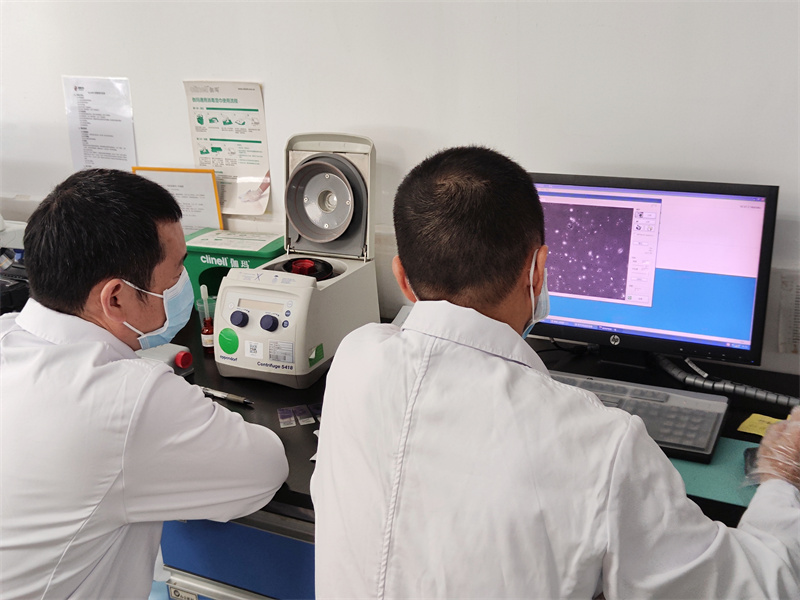 开云体云app官网入口