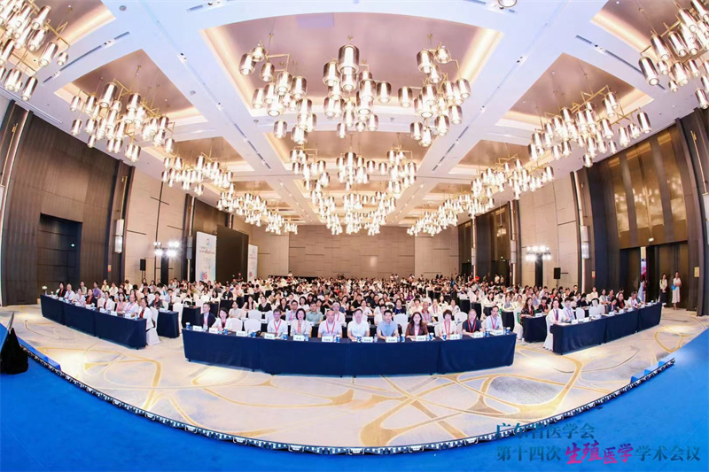 开云体云app官网入口