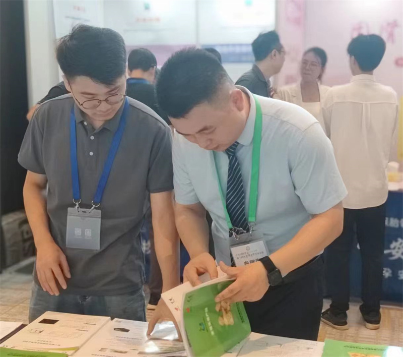 开云体云app官网入口