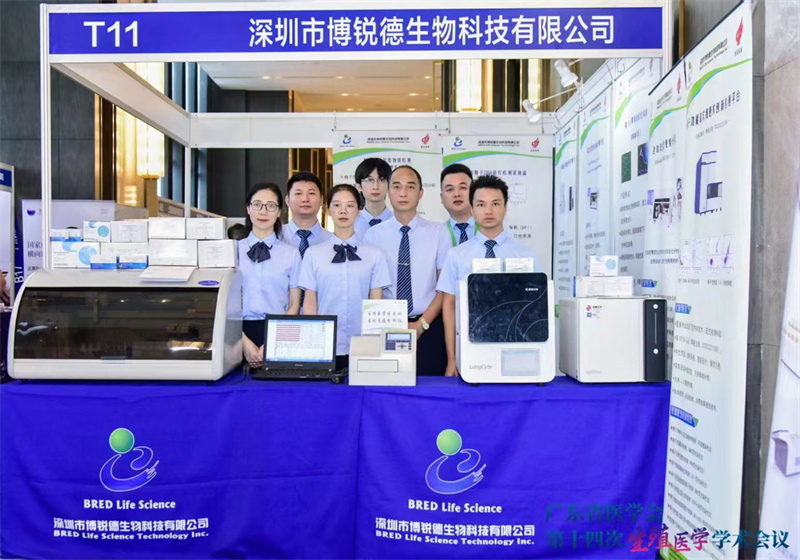 开云体云app官网入口