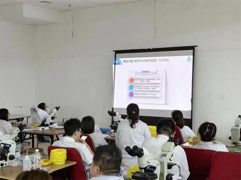 开云体云app官网入口