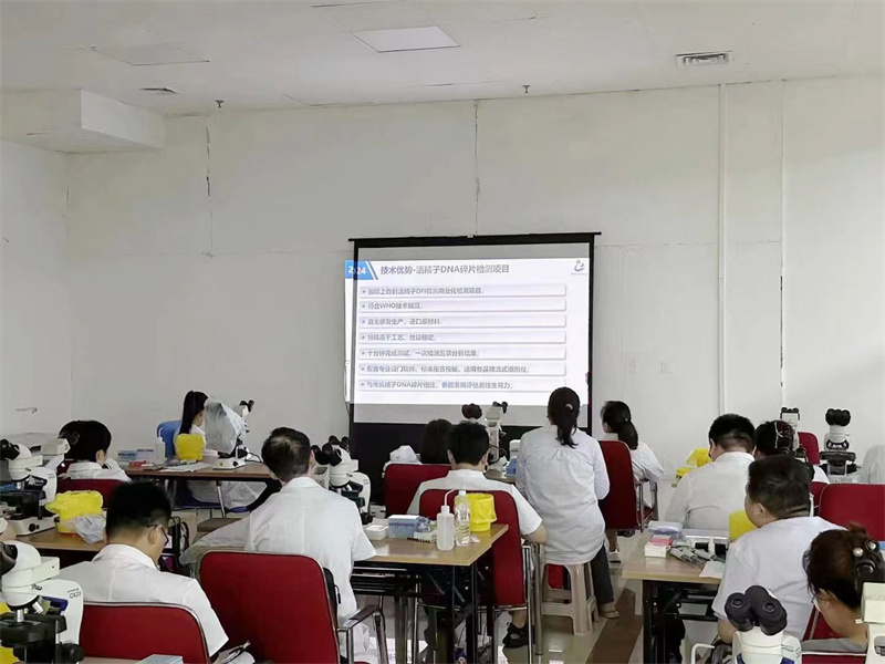 开云体云app官网入口