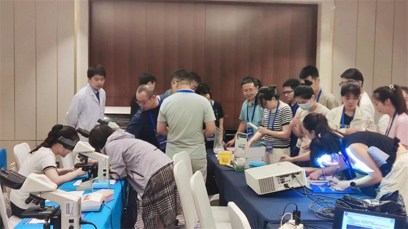 开云体云app官网入口