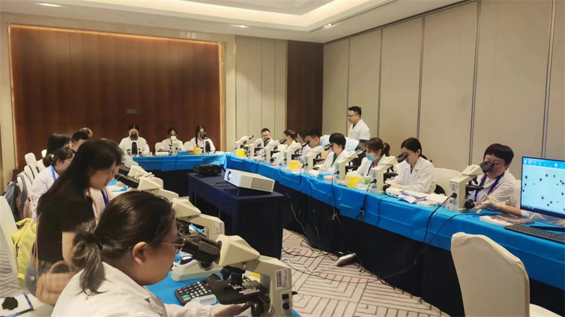 开云体云app官网入口