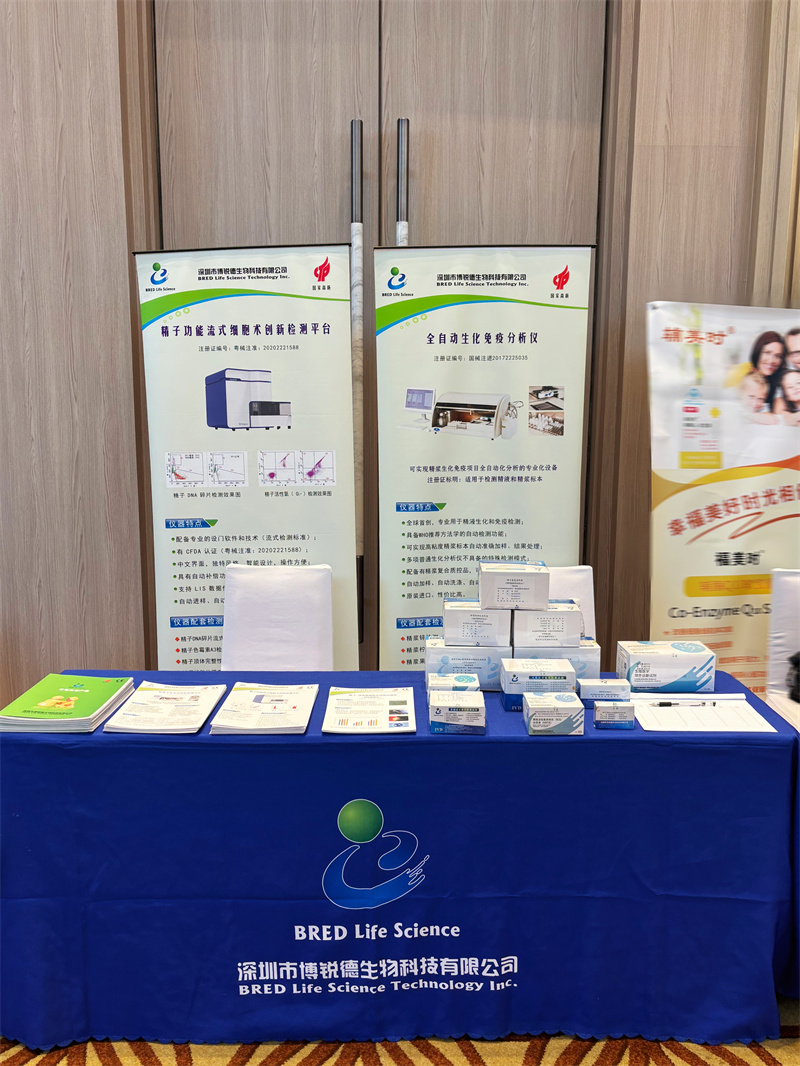 开云体云app官网入口