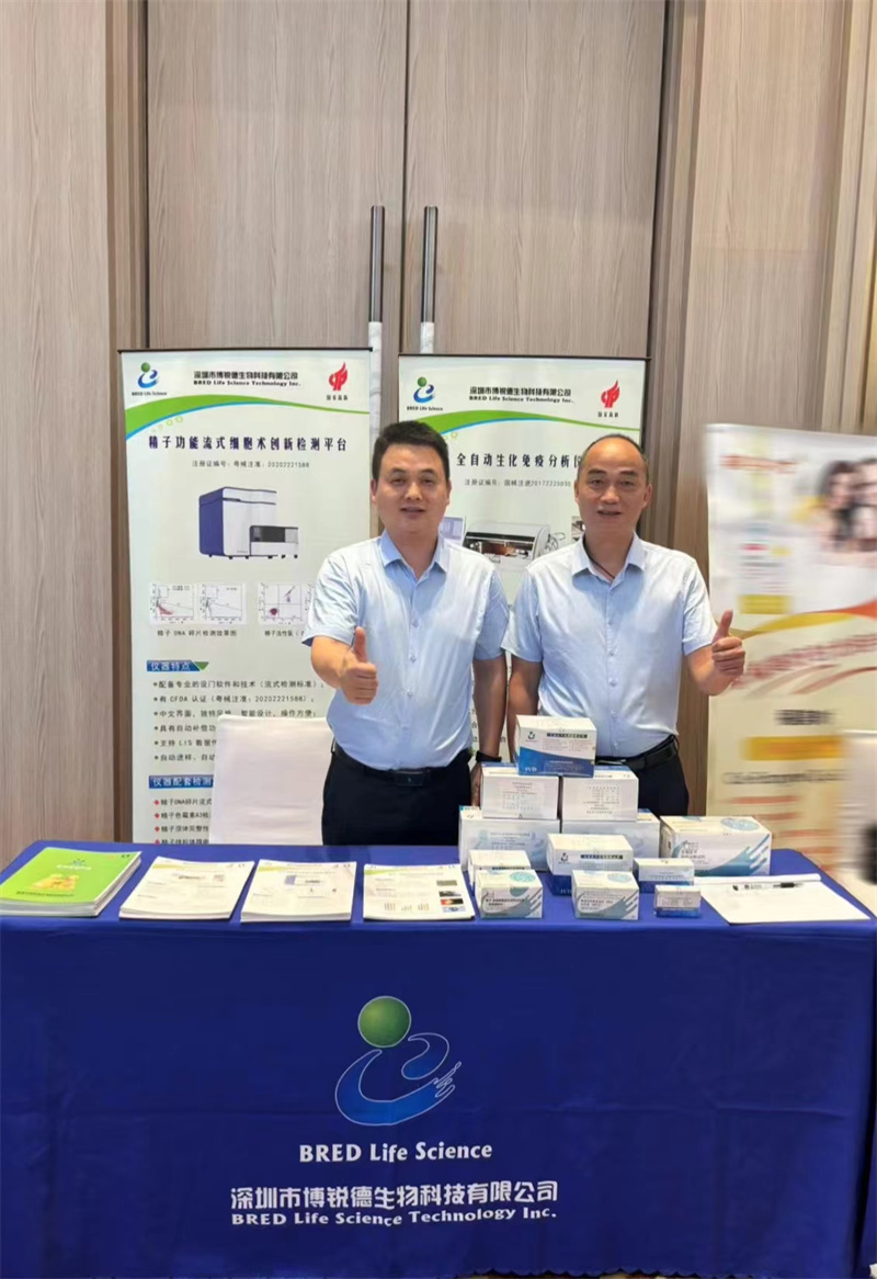 开云体云app官网入口