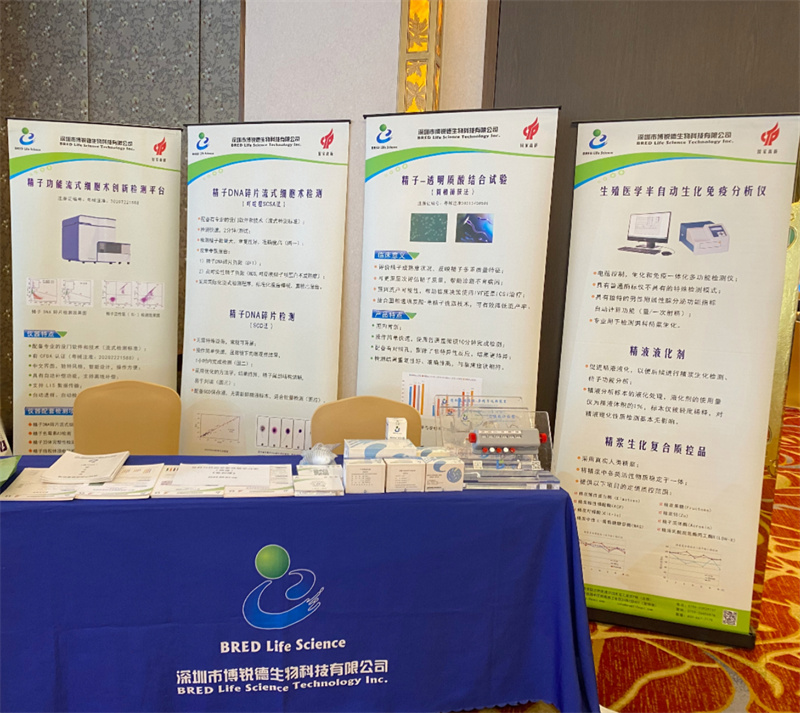 开云体云app官网入口